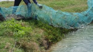 20161108_113343-white-net-600x337