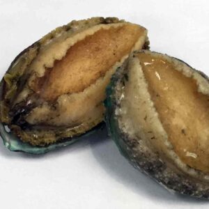 Abalone – Wild (Taiwan)