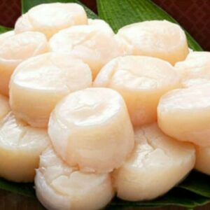 Scallops (Japanese)